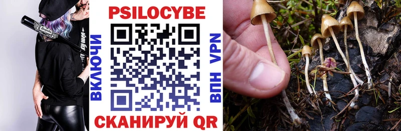 наркошоп  Дрезна  Псилоцибиновые грибы ЛСД 